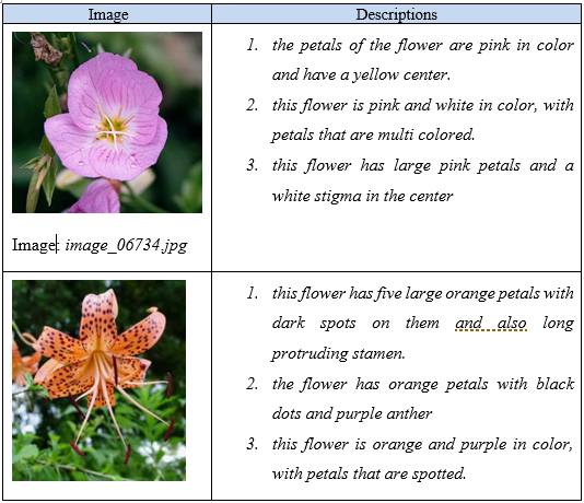 Samples of the training data. Source: Personal Gallery.