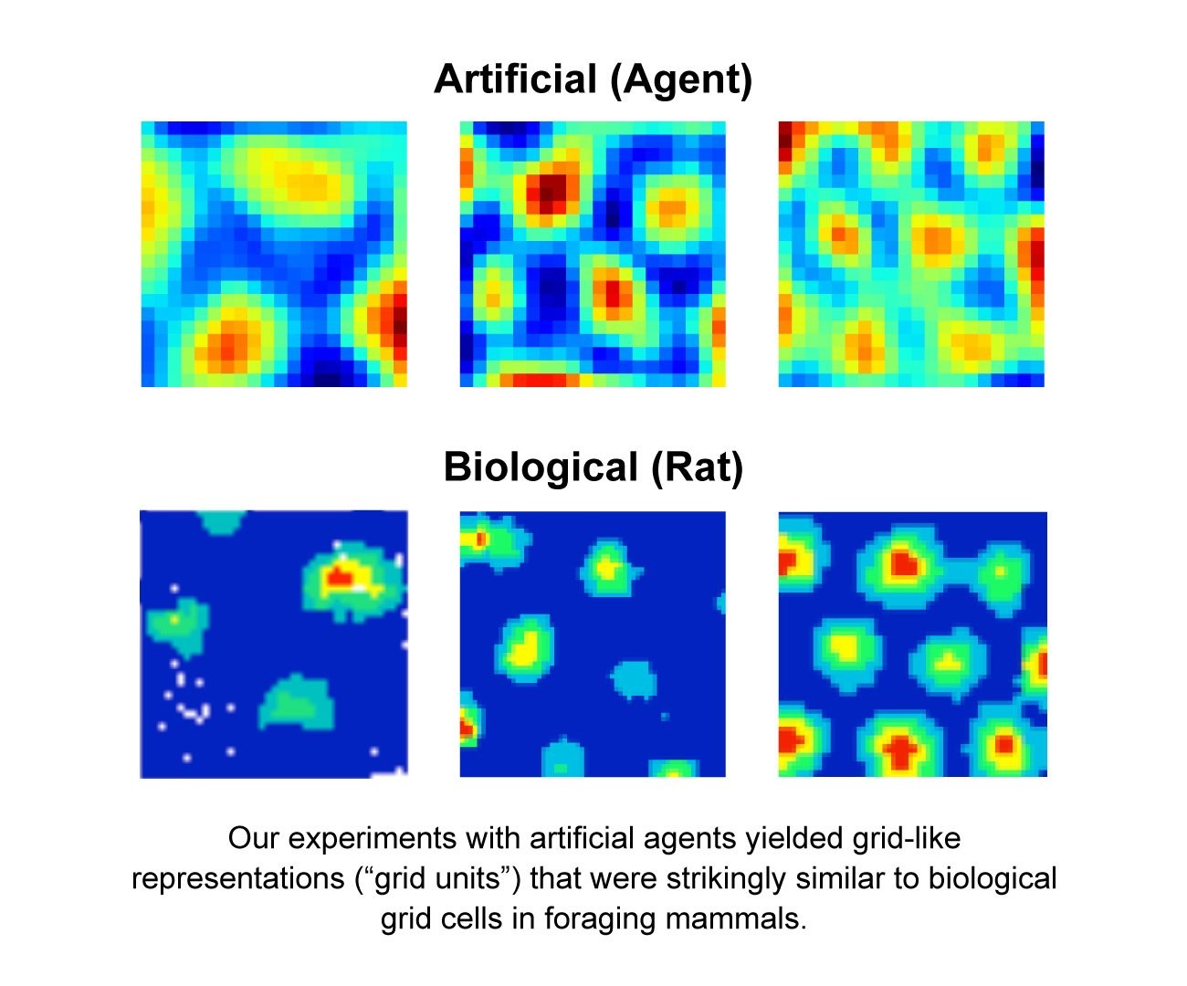 Grid cells emerged from within the NN used in the experiments. Source: DeepMind's blog