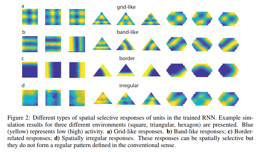 Different types of spatial responses emerged from within the trained network. Source: Cueva & Wei, 2018